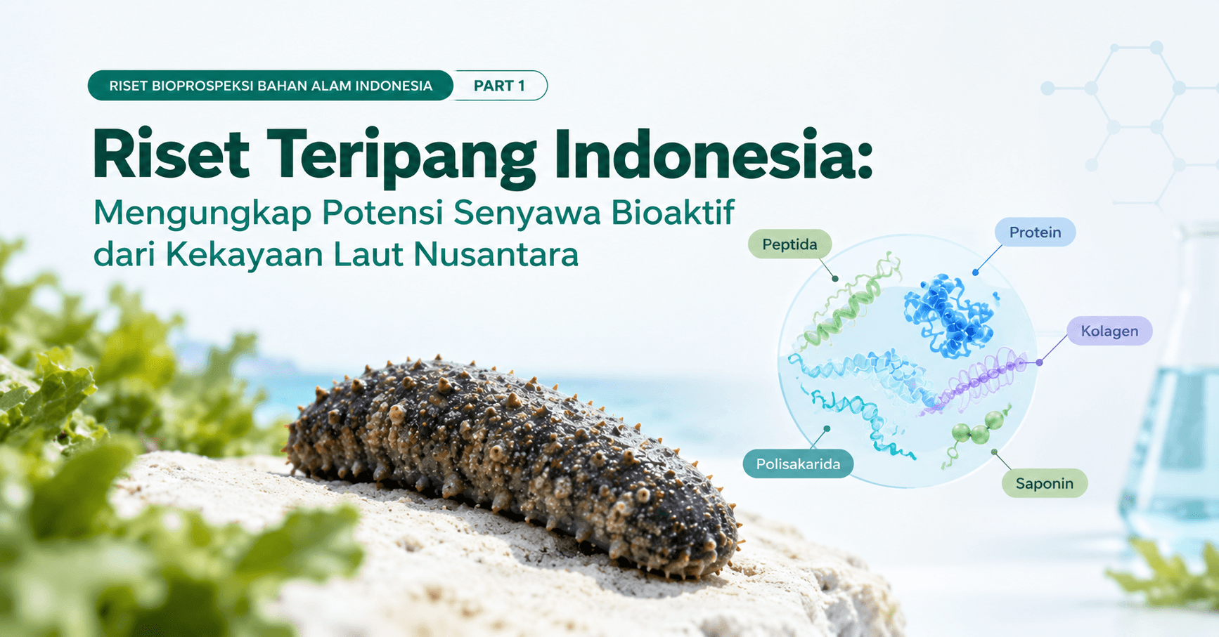 Gambar 2 - Riset Teripang Indonesia